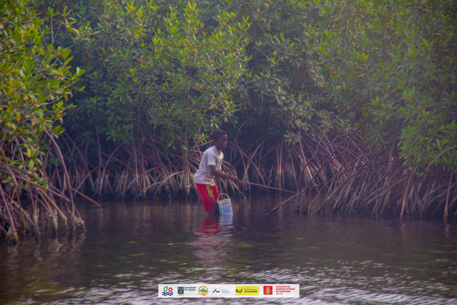 Let Us Protect Our Mangroves. They Protect Us